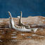 Lower jaw of roe deer