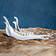 Lower jaw of red deer