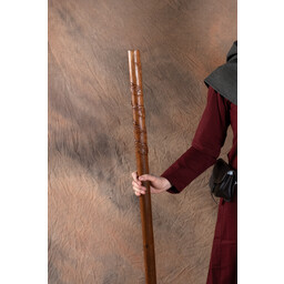 Walking stick, druid staff