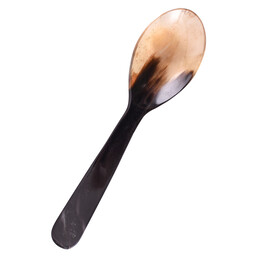 Horn spoon