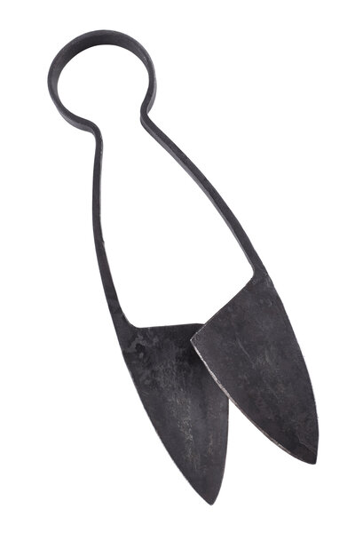 Bow scissors, L