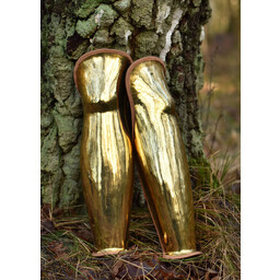 Luxurious Greek greaves