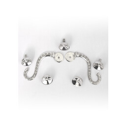 Hooks for Lorica hamata Chassenard