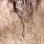 Nordic sheepskin white