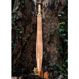 Bronze Age sword Denmark