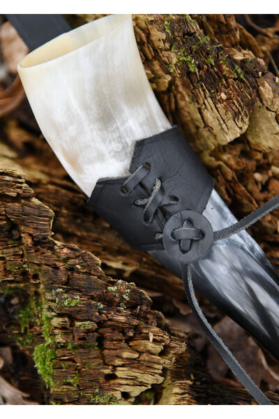 Drinking horn holder