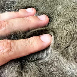 Rabbit fur Osric