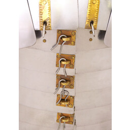 Lorica segmentata Newstead