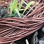 Leather laces, set of 50, black