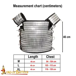 Viking scale armor Visby