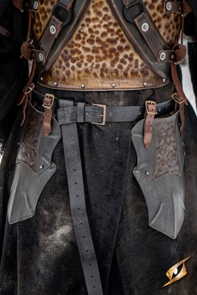 Raider belt shields
