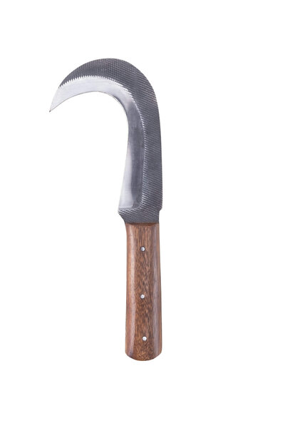 Anselm pruning knife