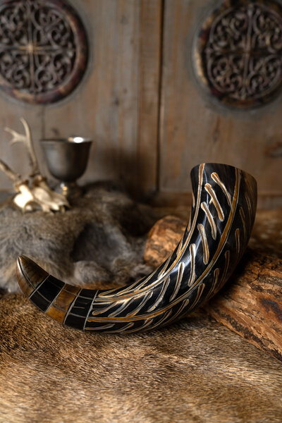 Drinking horn Gorm with leather holder