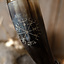 Drinking horn with vegvisir and brass fittings