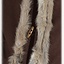 Jarl fur caftan, brown