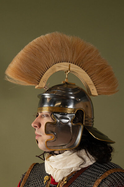 Roman crest, white