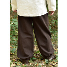 Trousers Roger, brown