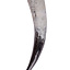 Drinking horn, several sizes
