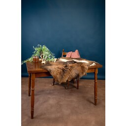 Sheepskin mouflon, dark