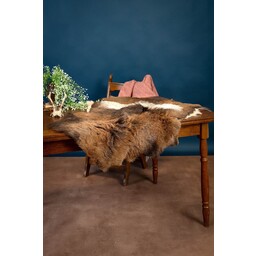 Sheepskin mouflon, dark