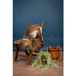 Sheepskin mouflon, dark