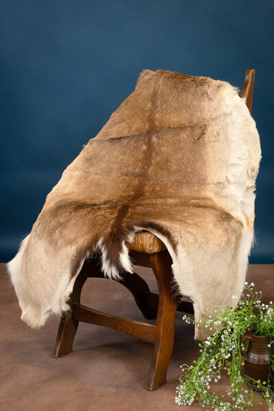 Fallow deer skin L