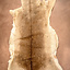 Fallow deer skin L