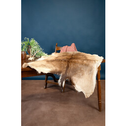 Fallow deer skin L