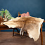 Fallow deer skin L