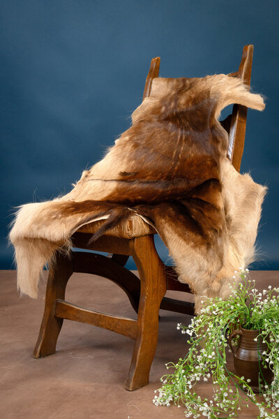 Fallow deer skin S