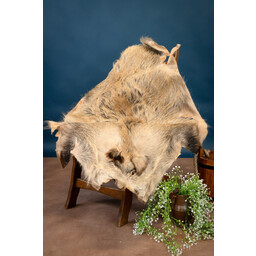 Wild boar hide