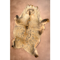 Wild boar hide