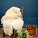 Sheepskin mouflon, light