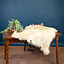 Sheepskin mouflon, light
