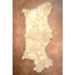 Sheepskin mouflon, light