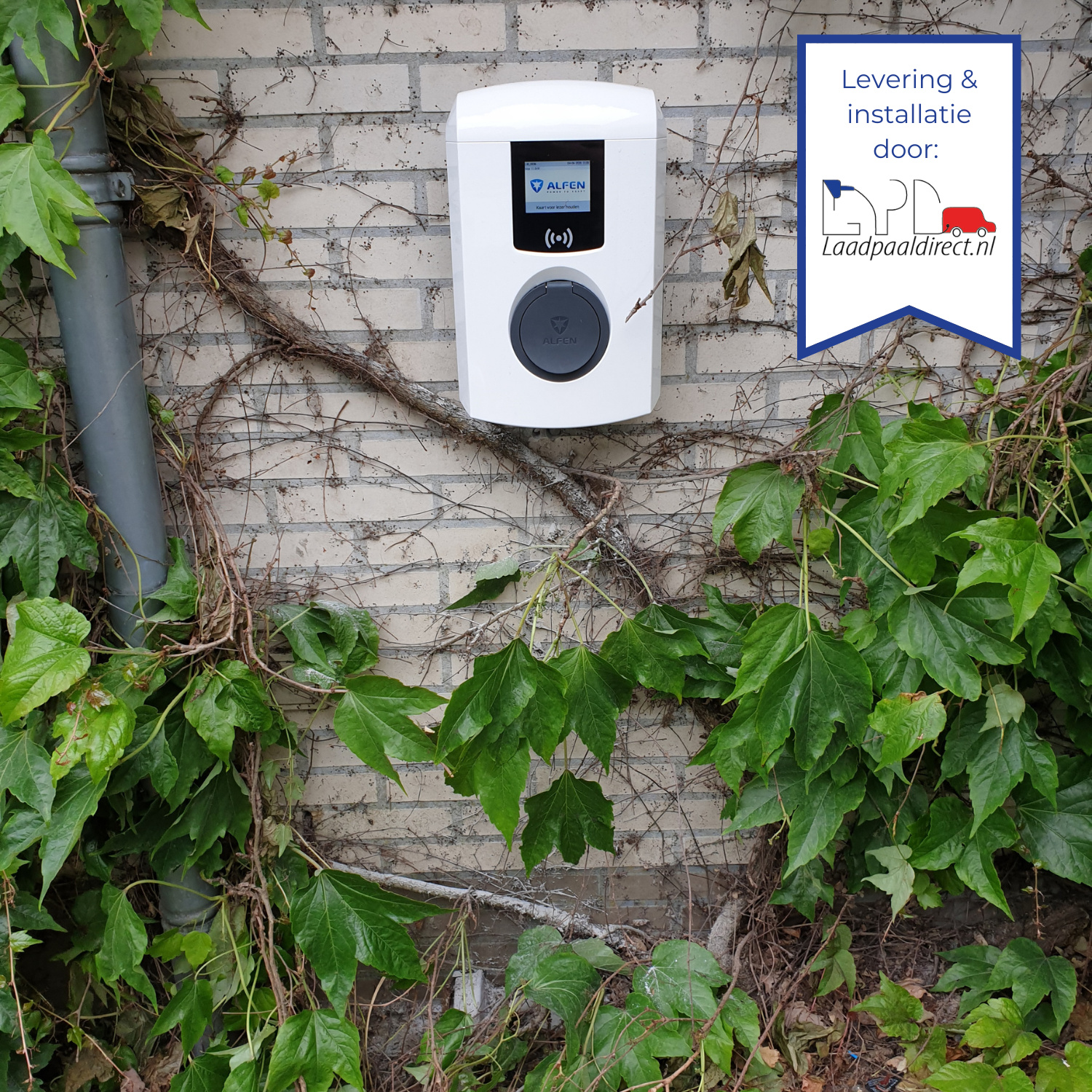 Eve Single Plus (3-fase, socket)