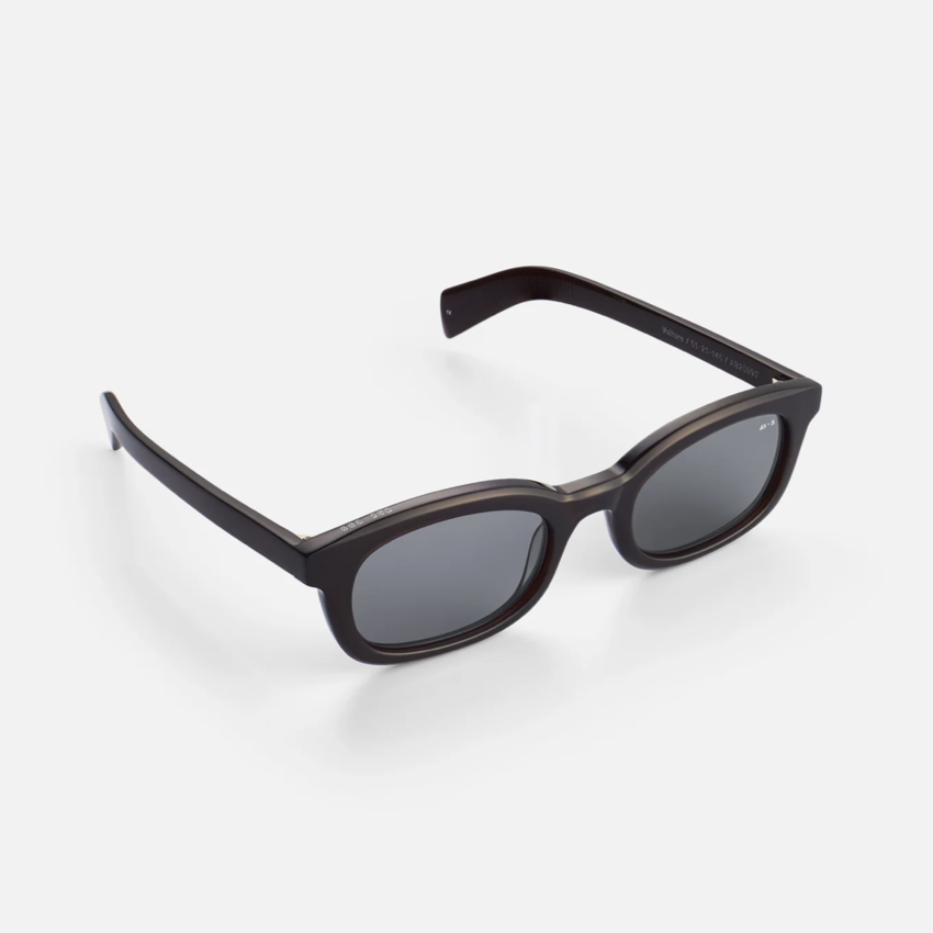 AY Studios Vulture Transparent Brown