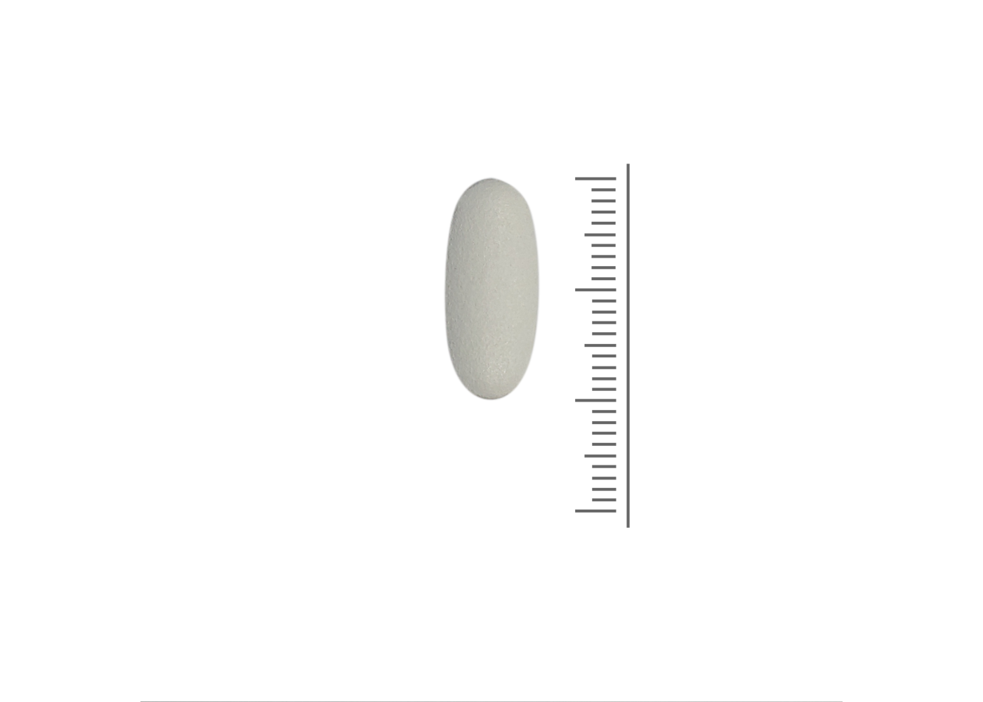 Rexar Calcium, magnésium et zinc