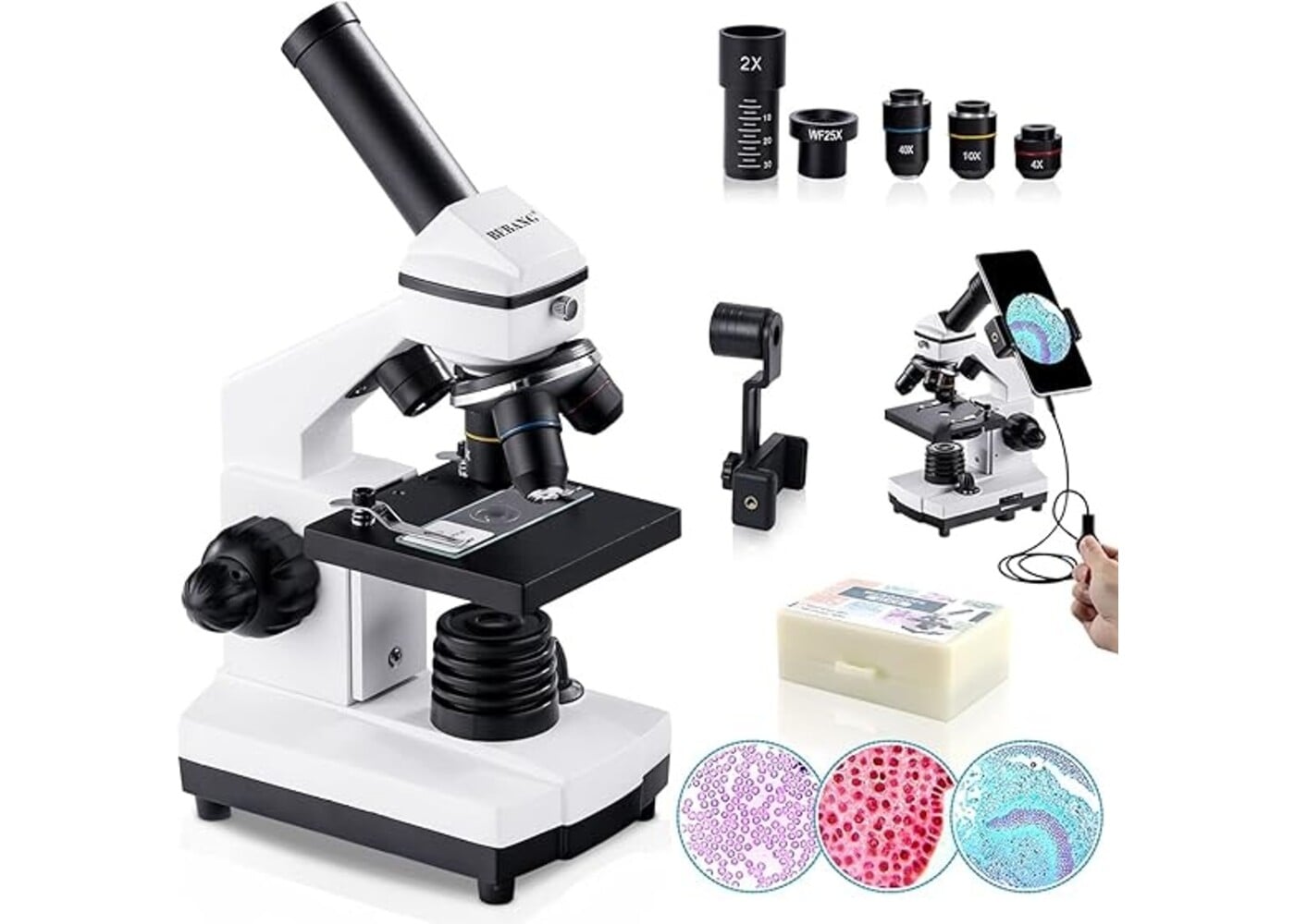 Rexar Professional Biological Microscope 100X–2000X with LED Illumination and Smartphone Adapter