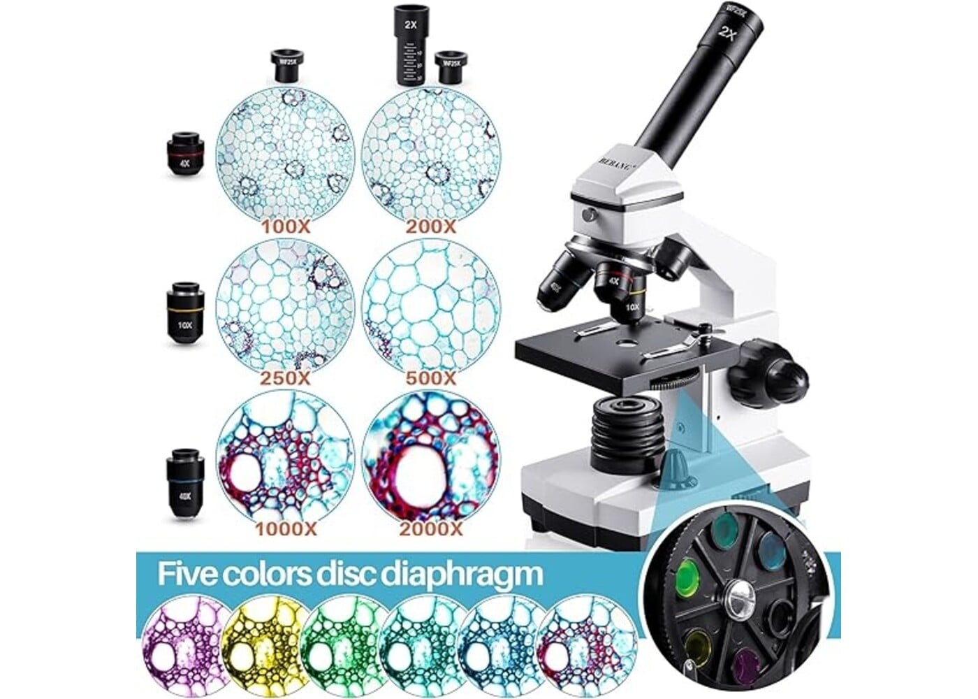 Rexar Professional Biological Microscope 100X–2000X with LED Illumination and Smartphone Adapter