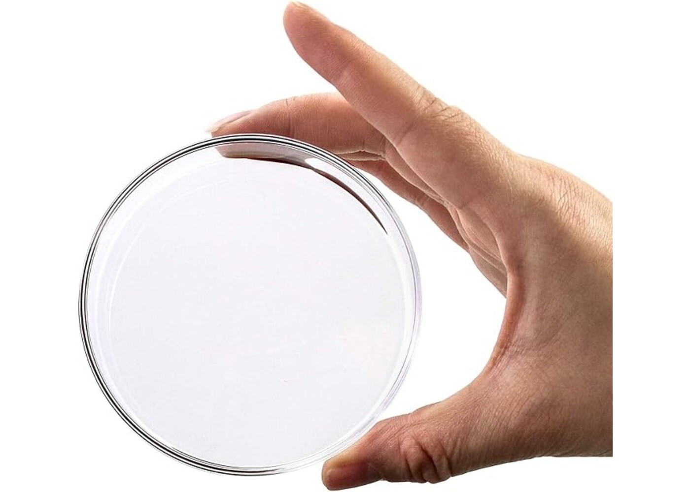 Rexar Borosilicate Glass Petri Dishes with Lids – 90 mm × 20 mm Laboratory Set (5 Pieces)