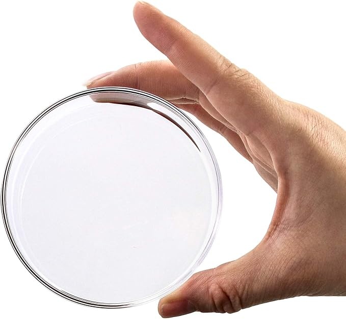 Rexar Borosilicate Glass Petri Dishes with Lids – 90 mm × 20 mm Laboratory Set (5 Pieces)