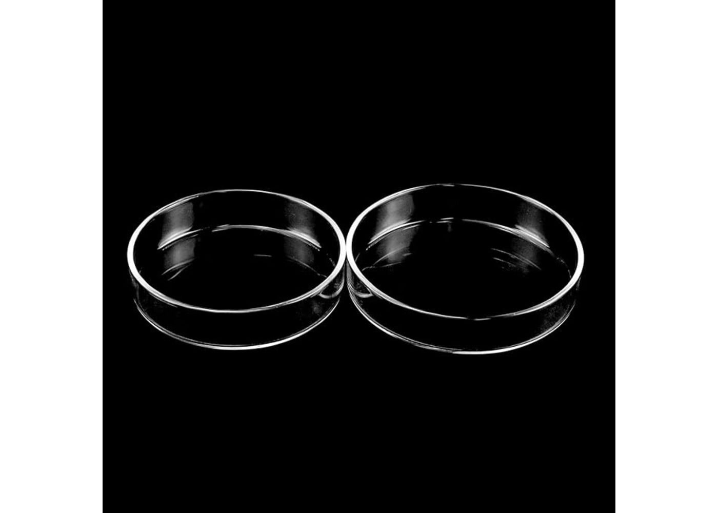 Rexar Borosilicate Glass Petri Dishes with Lids – 90 mm × 20 mm Laboratory Set (5 Pieces)