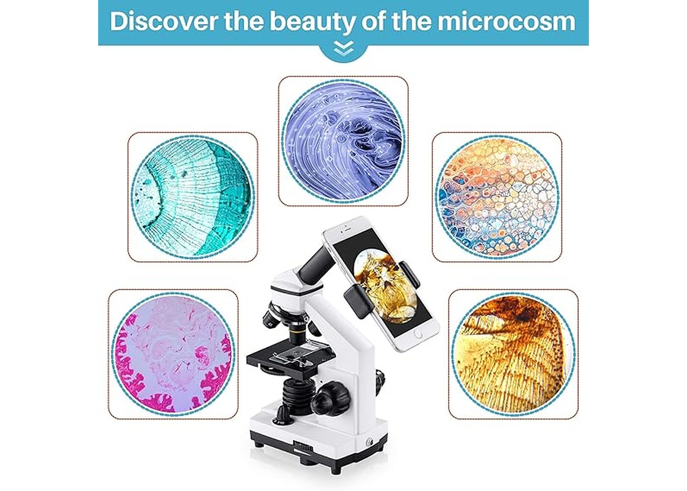 Rexar Professional Biological Microscope 100X–2000X with LED Illumination and Smartphone Adapter