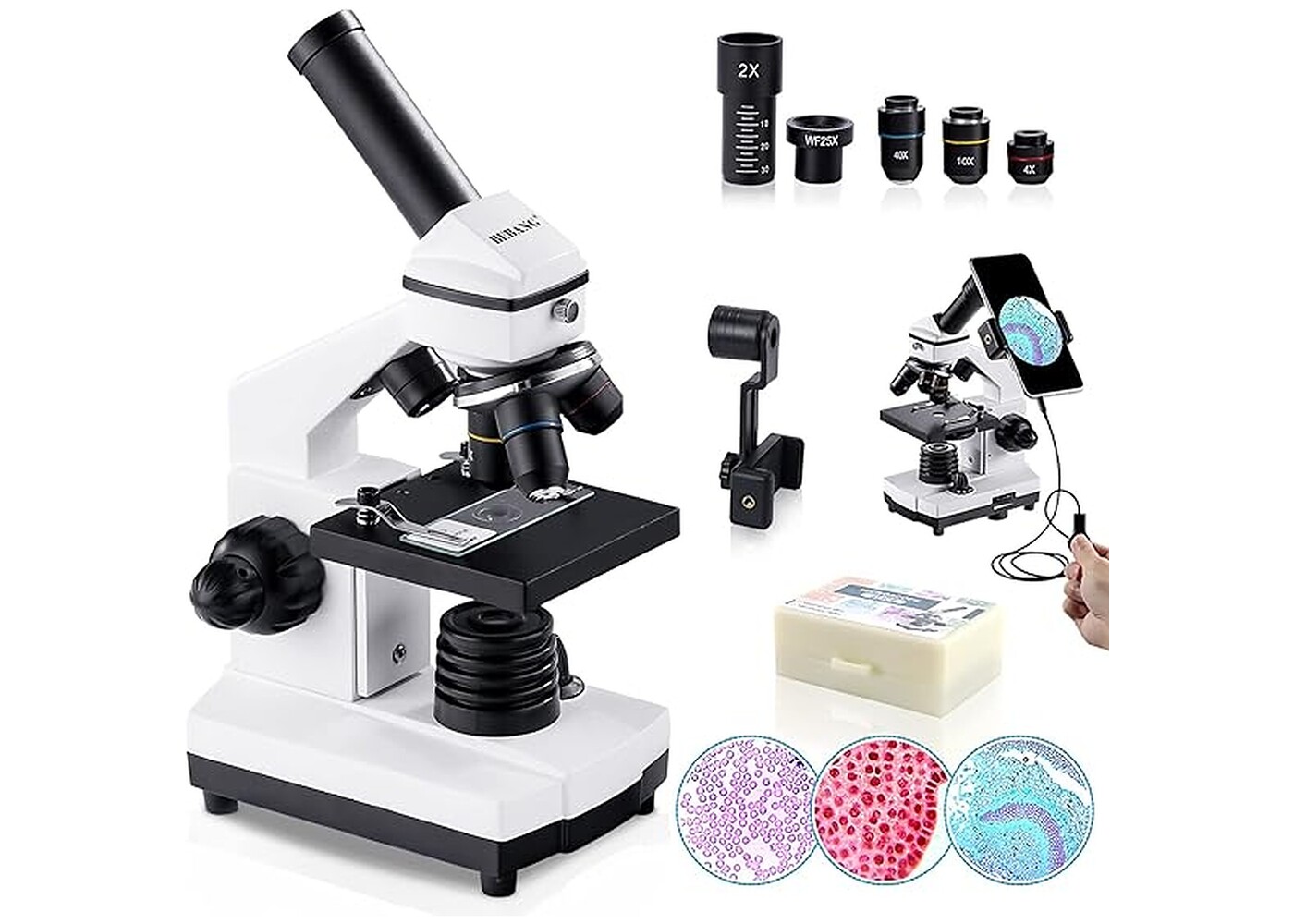 Rexar Professional Biological Microscope 100X–2000X with LED Illumination and Smartphone Adapter