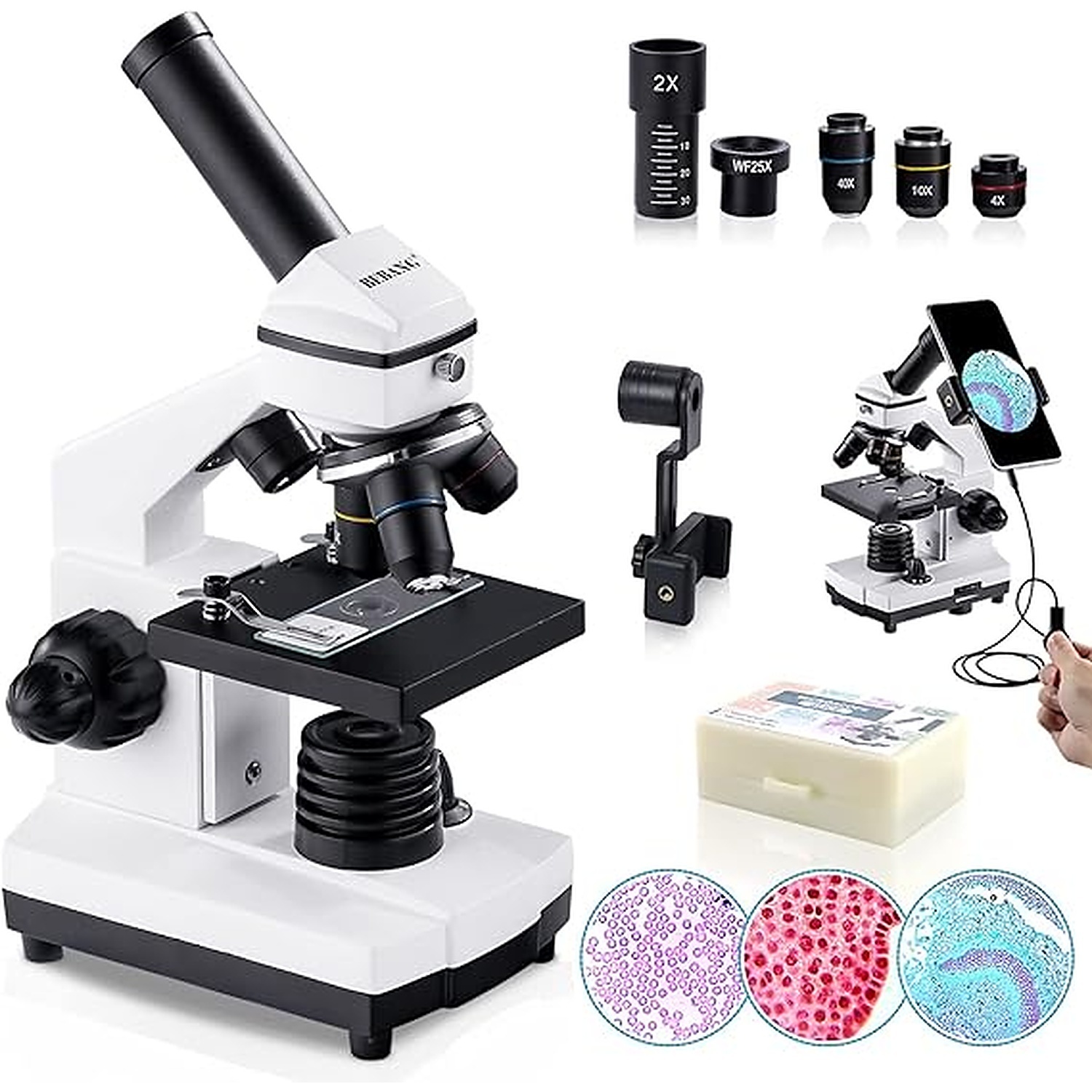 Rexar Professional Biological Microscope 100X–2000X with LED Illumination and Smartphone Adapter