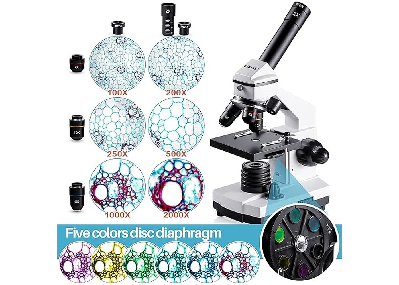 Rexar Professional Biological Microscope 100X–2000X with LED Illumination and Smartphone Adapter
