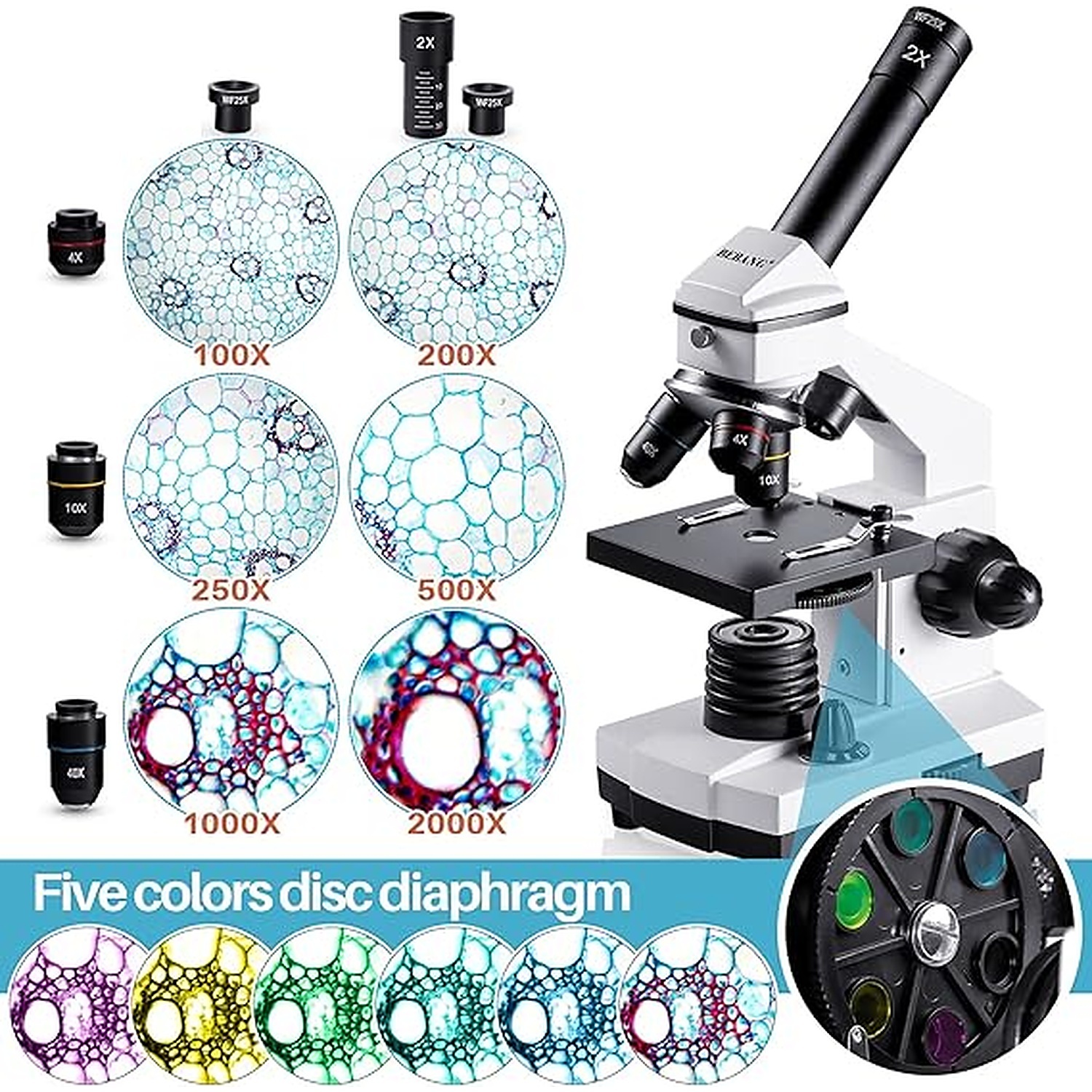 Rexar Professional Biological Microscope 100X–2000X with LED Illumination and Smartphone Adapter