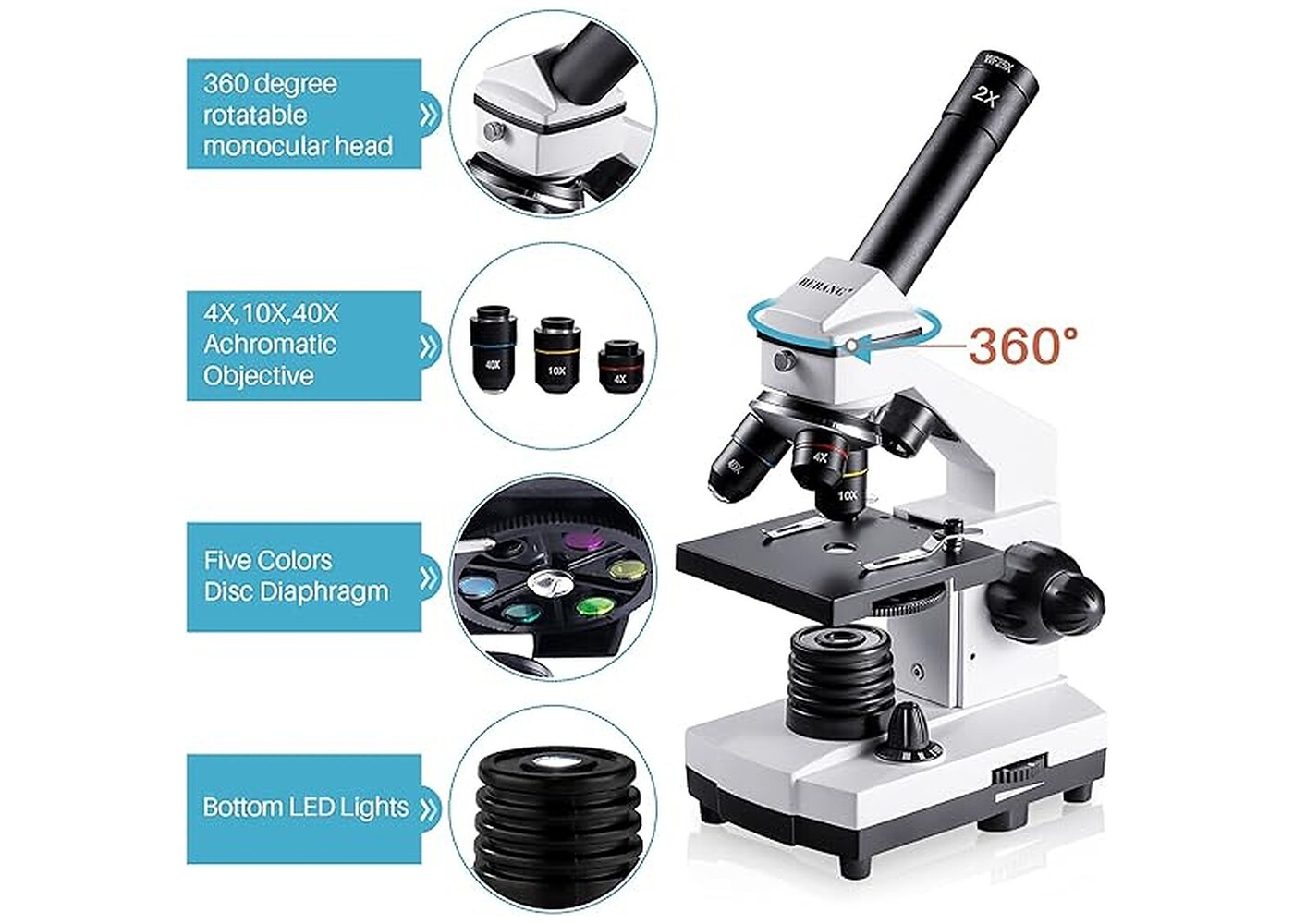 Rexar Professional Biological Microscope 100X–2000X with LED Illumination and Smartphone Adapter