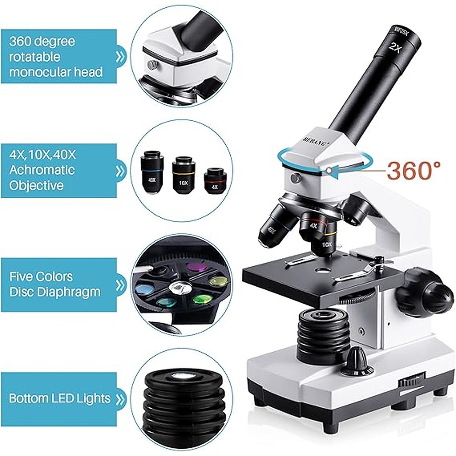 Rexar Professional Biological Microscope 100X–2000X with LED Illumination and Smartphone Adapter